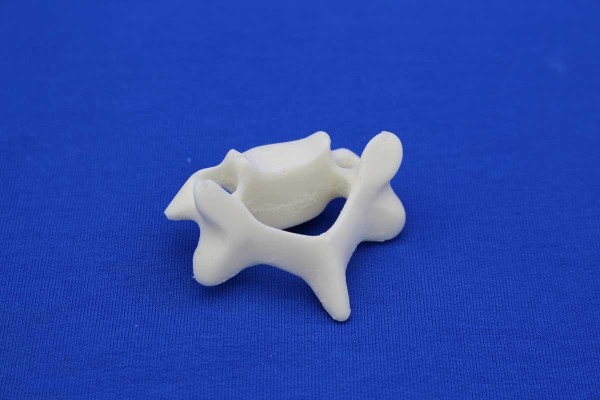 VERTEBRA C3 SOLID FOAM