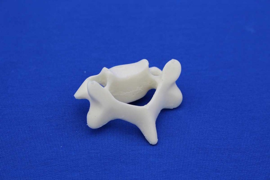 VERTEBRA C4 SOLID FOAM