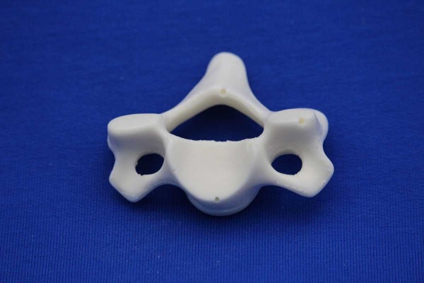 VERTEBRA C5 SOLID FOAM