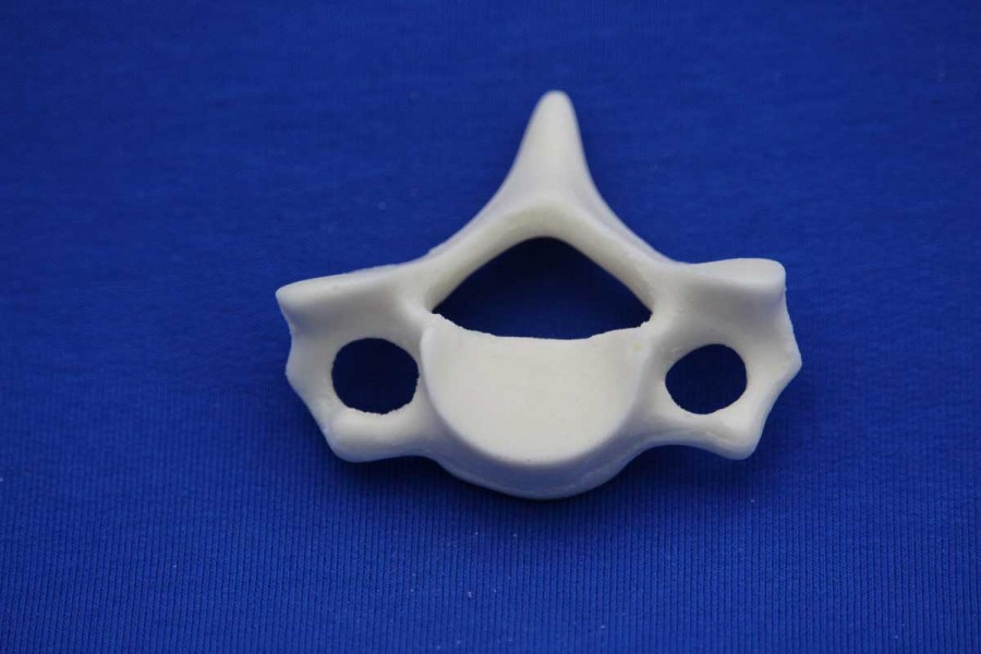 VERTEBRA C6 SOLID FOAM