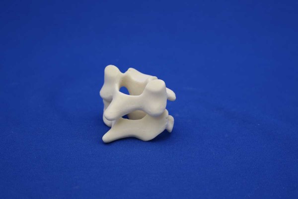 PARTIAL CERVICAL SPINE C5/C6 SOLID FOAM