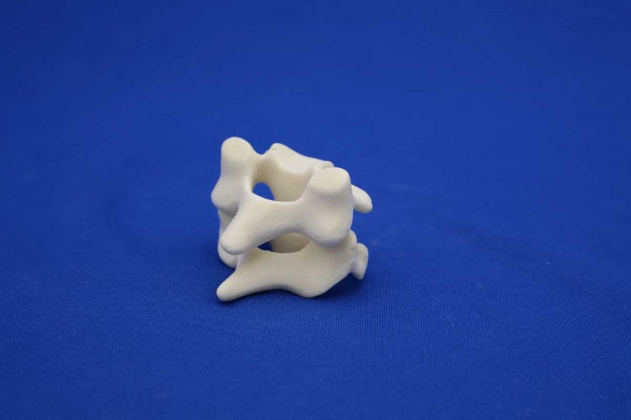 Partial Cervical spine C5/C6 Solid Foam