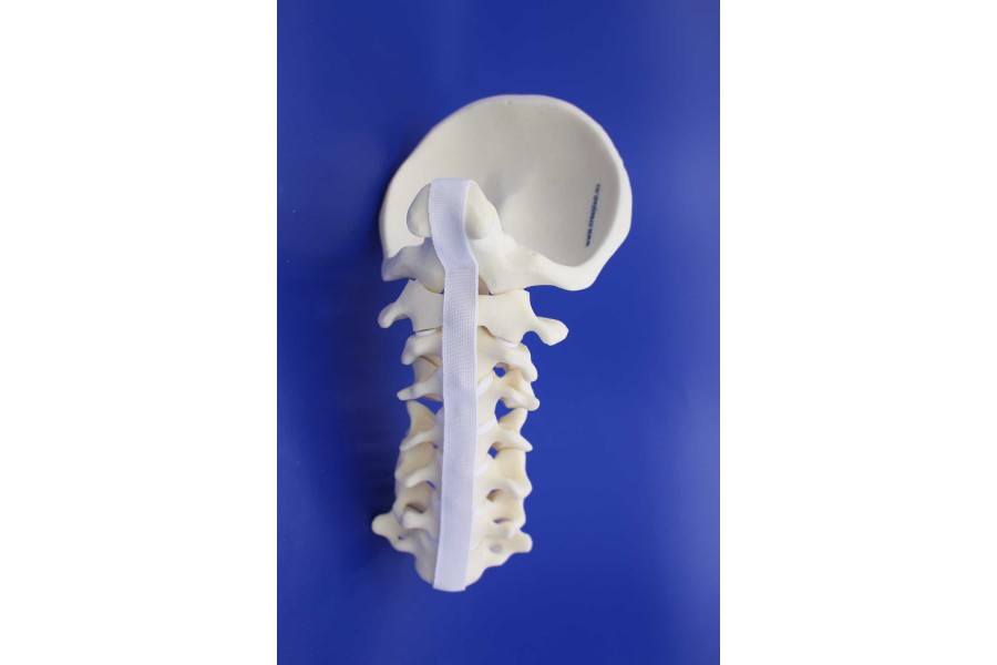 CERVICAL SPINE OCCIPUT-C7 SOLID FOAM