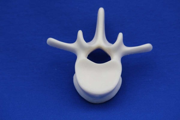 VERTEBRA L2 SOLID FOAM