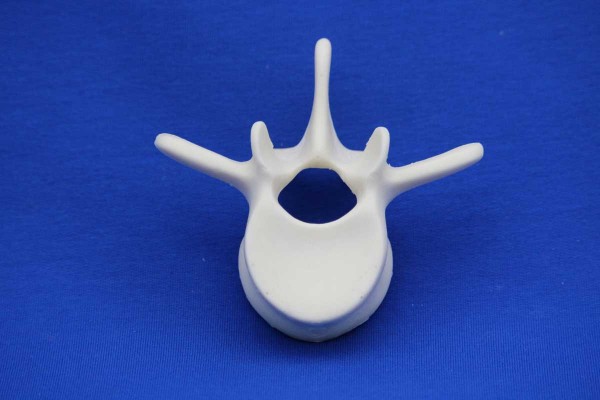 VERTEBRA L3 SOLID FOAM