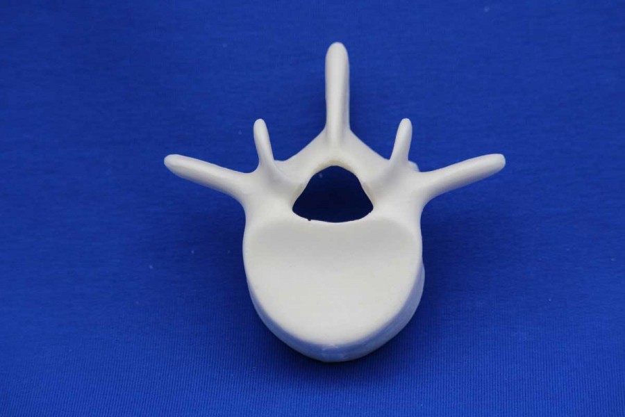 VERTEBRA L4 SOLID FOAM