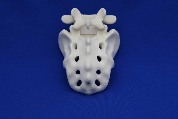 Rachis L5/Sacrum Solid Foam