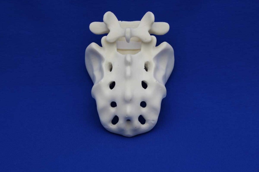 Rachis L5/Sacrum Solid Foam