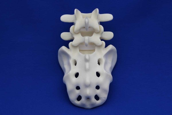 Rachis L4/Sacrum Solid Foam