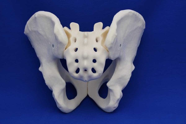 FULL PELVIS SOLID FOAM