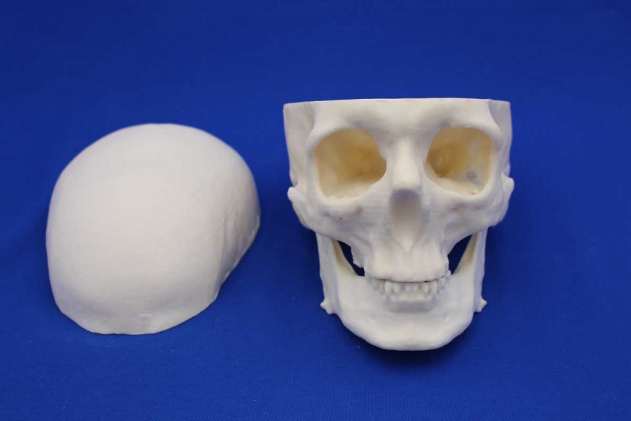 OPEN SKULL SOLID FOAM