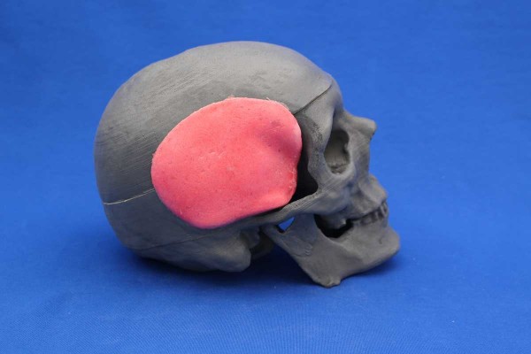 SKULL SOLID FOAM+ MUSCLES