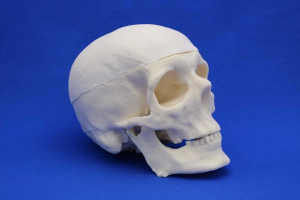 FULL SKULL SOLID FOAM