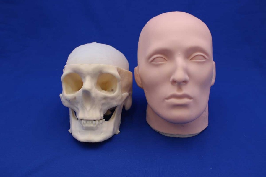 SKULL SOLID FOAM AND FACE