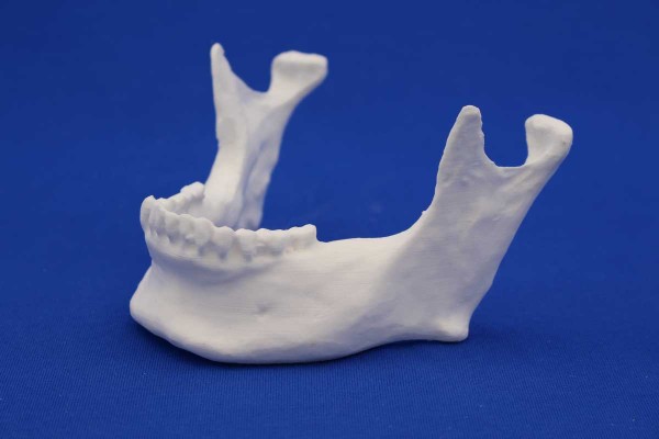 WHITE RESIN MANDIBLE