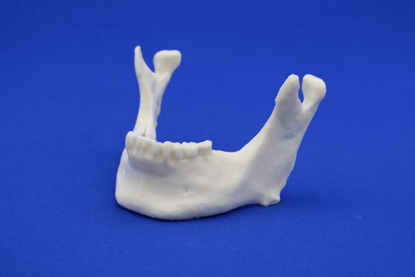 SOLID FOAM MANDIBLE