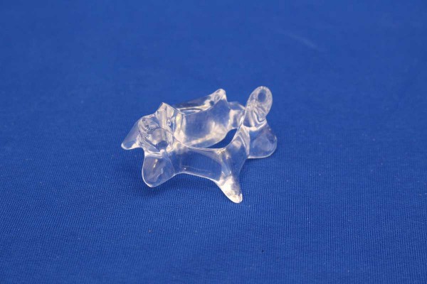 Clearbone Cervical C4