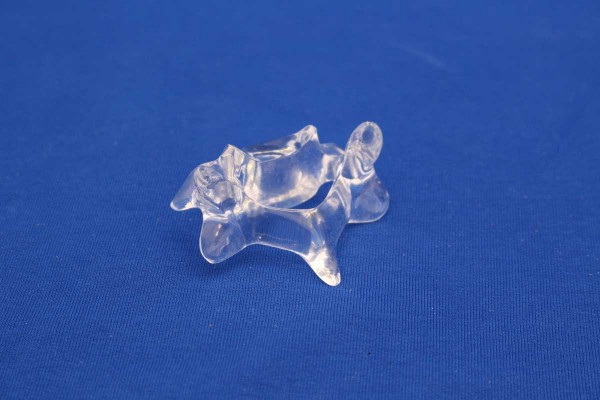 Clearbone cervical C4