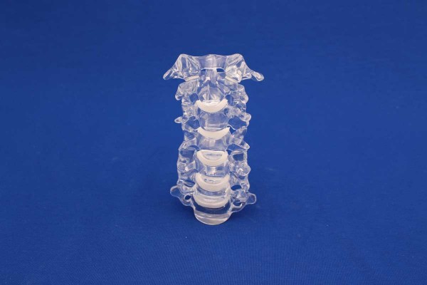 Clearbone cervical C1/C7