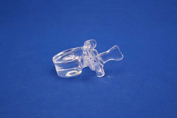 Clearbone Lumbar L1