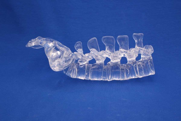 Clearbone Lumbar L1/Sacrum