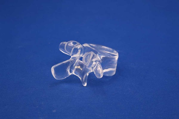 Clearbone Lumbar L4