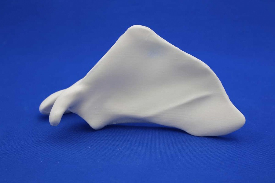 Scapula Solid Foam droit